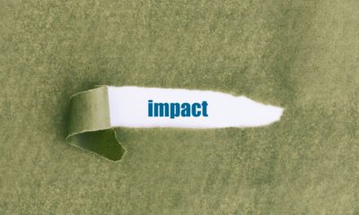 impact placement branche 26